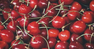 Sæt sanserne i sving med sæsonens bedste kirsebærprodukter